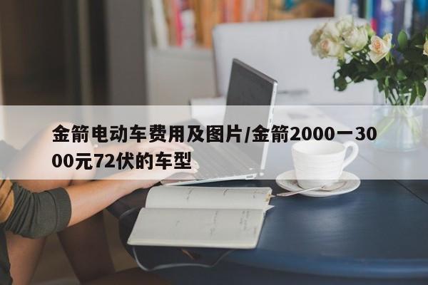 金箭电动车费用及图片/金箭2000一3000元72伏的车型