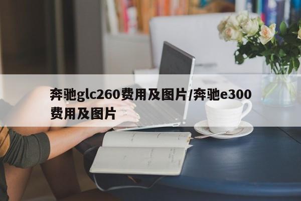 奔驰glc260费用及图片/奔驰e300费用及图片