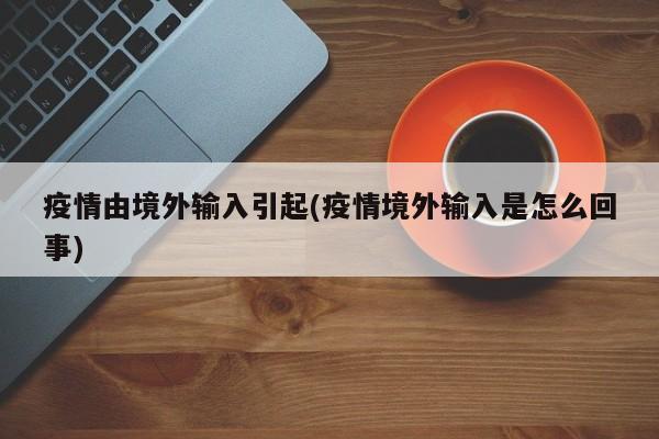 疫情由境外输入引起(疫情境外输入是怎么回事)