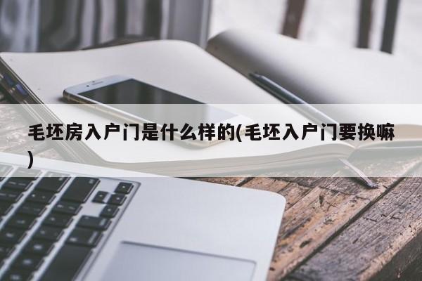 毛坯房入户门是什么样的(毛坯入户门要换嘛)