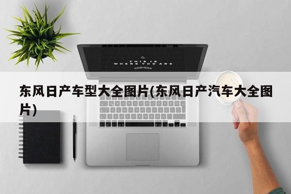 东风日产车型大全图片(东风日产汽车大全图片)