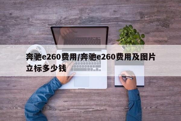 奔驰e260费用/奔驰e260费用及图片立标多少钱