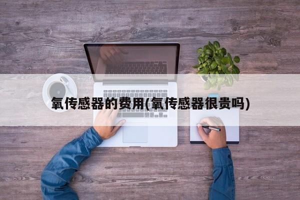 氧传感器的费用(氧传感器很贵吗)
