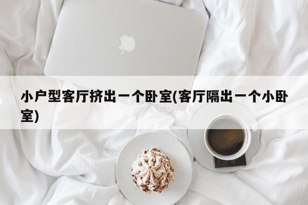 小户型客厅挤出一个卧室(客厅隔出一个小卧室)