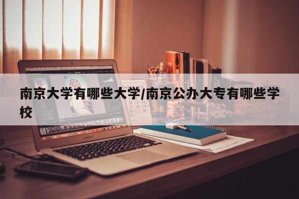 南京大学有哪些大学/南京公办大专有哪些学校