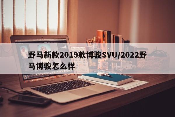 野马新款2019款博骏SVU/2022野马博骏怎么样