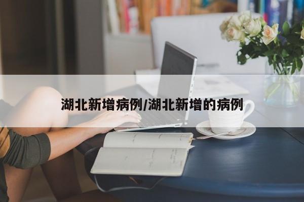 湖北新增病例/湖北新增的病例
