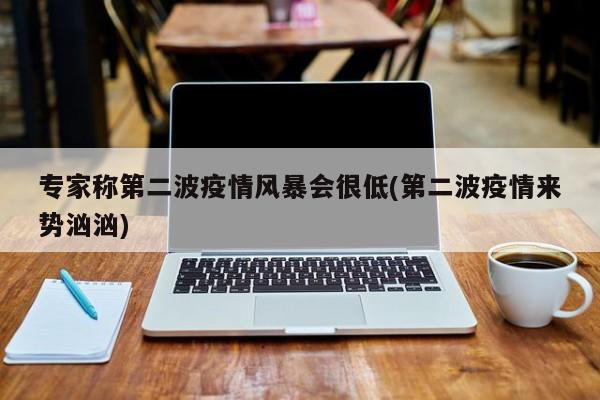 专家称第二波疫情风暴会很低(第二波疫情来势汹汹)