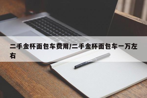 二手金杯面包车费用/二手金杯面包车一万左右