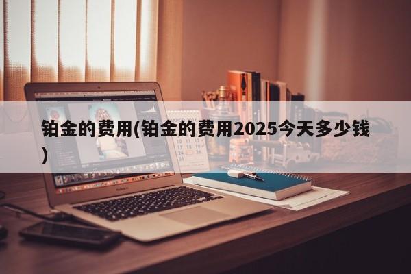 铂金的费用(铂金的费用2025今天多少钱)