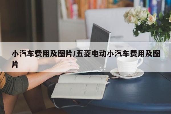 小汽车费用及图片/五菱电动小汽车费用及图片