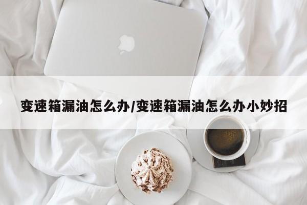 变速箱漏油怎么办/变速箱漏油怎么办小妙招