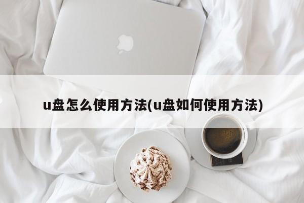 u盘怎么使用方法(u盘如何使用方法)