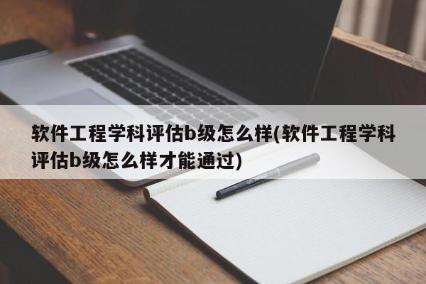 软件工程学科评估b级怎么样(软件工程学科评估b级怎么样才能通过)