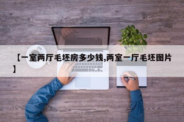 【一室两厅毛坯房多少钱,两室一厅毛坯图片】