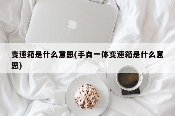 变速箱是什么意思(手自一体变速箱是什么意思)