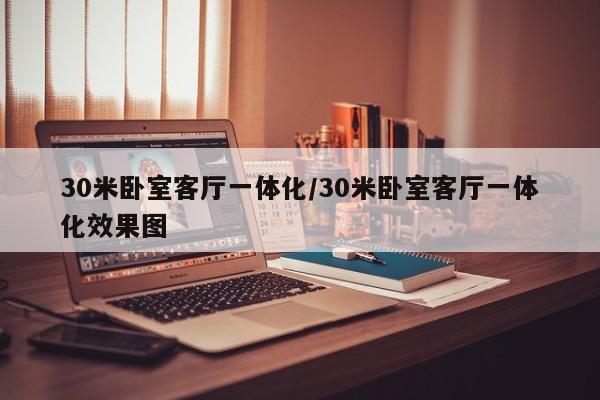 30米卧室客厅一体化/30米卧室客厅一体化效果图