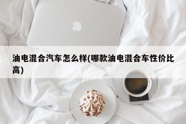 油电混合汽车怎么样(哪款油电混合车性价比高)