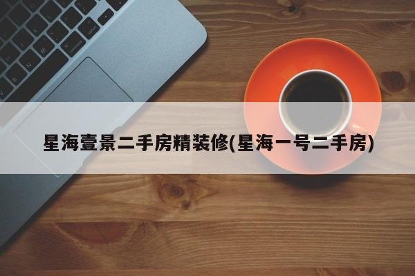 星海壹景二手房精装修(星海一号二手房)