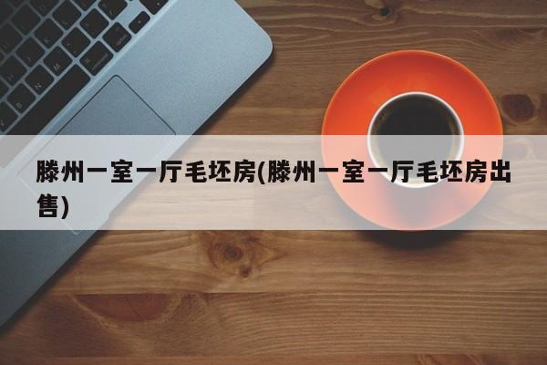 滕州一室一厅毛坯房(滕州一室一厅毛坯房出售)