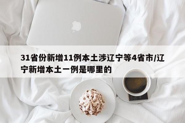 31省份新增11例本土涉辽宁等4省市/辽宁新增本土一例是哪里的