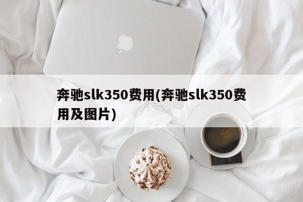 奔驰slk350费用(奔驰slk350费用及图片)