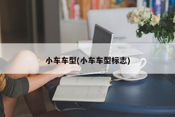 小车车型(小车车型标志)