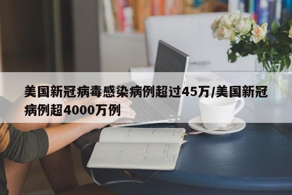 美国新冠病毒感染病例超过45万/美国新冠病例超4000万例