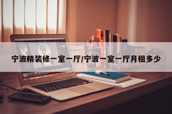 宁波精装修一室一厅/宁波一室一厅月租多少
