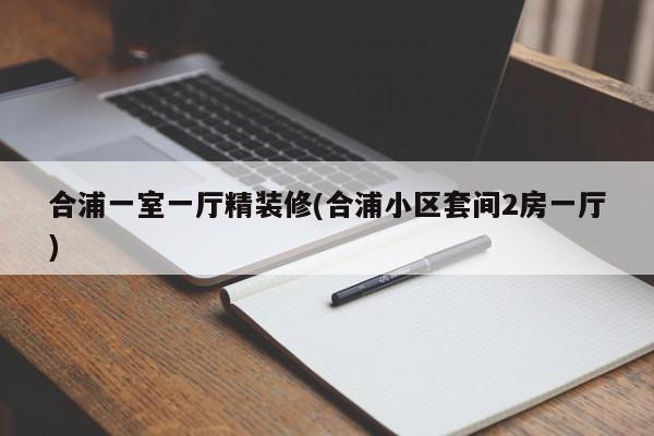 合浦一室一厅精装修(合浦小区套间2房一厅)