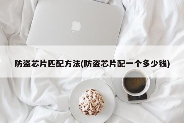 防盗芯片匹配方法(防盗芯片配一个多少钱)