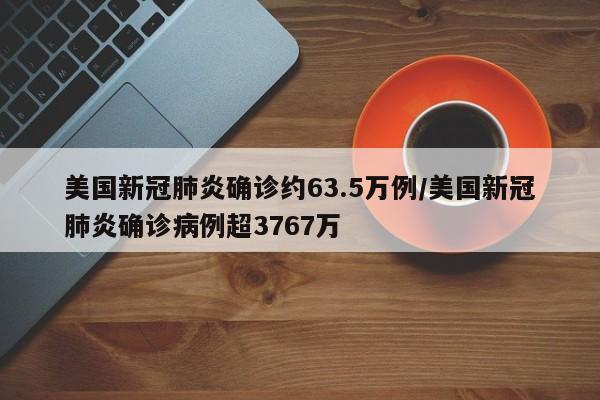 美国新冠肺炎确诊约63.5万例/美国新冠肺炎确诊病例超3767万